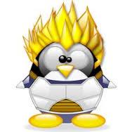 Linux系统中硬盘的分区(下)
