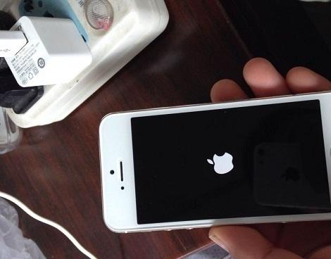 iPhoneֻΪγְƻθ㶨ƻȫ