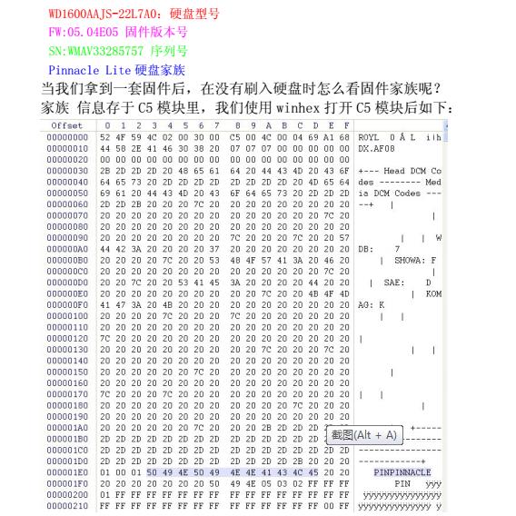 WD ROYL ϵмʶʽ
