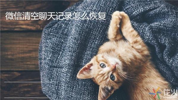 微信清空聊天记录怎么恢复?如何快速找回微信