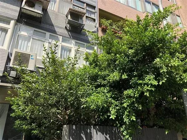 �ֻ���һ������ͷ�����ղ���ж�󣿶Աȳ������ϣ�