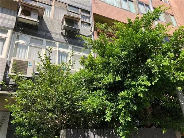 �ֻ���һ������ͷ�����ղ���ж�󣿶Աȳ������ϣ�