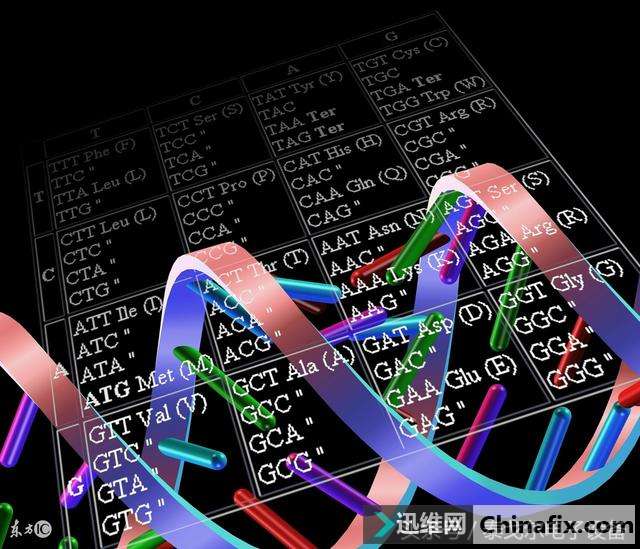 ����·������ǧ�׽���������ô�������ڵ����ٿ��Դ�ǧ����