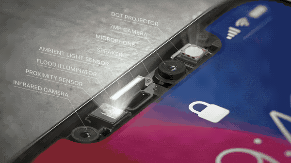 iPhone XĴԭ󲿷ֶģ