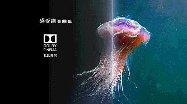 ӡӰﳣĶűDolby VisionDolby Audioʲô