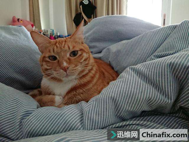 索尼Xperia XZ1测评:老酒一壶已醇香,只等识味