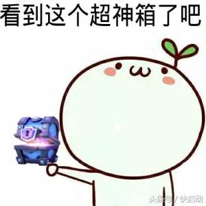 ̬ӲôѡС׶5