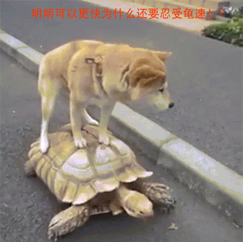 ٶô죿