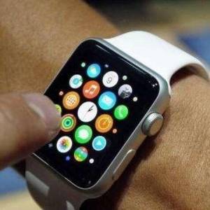 IDCApple Watchֱг