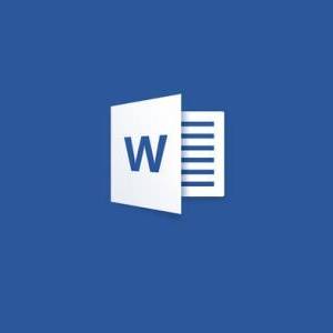 Wordʵò9ѧ