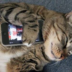 �Ͼ�iPhone��֮��ϧ���ĳ���Щ��;Ҳ����