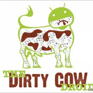 ׿Dirty COW©Android