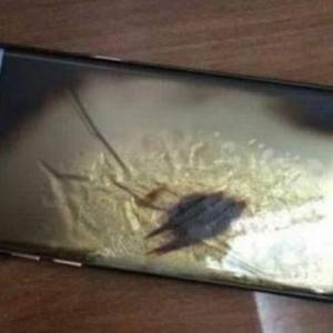 iPhone 8ֻը ˭iPhoneֻըԭף