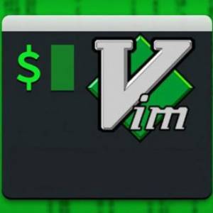 ƣ12ռVimü