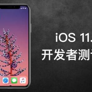 ƻiOS 11.3߲湫 Щ仯