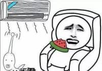wifiٶأ