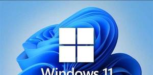 Windows 11豸ȫʡ繦