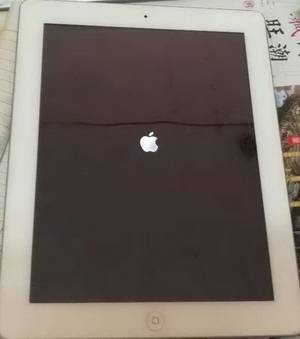 iPadܳ