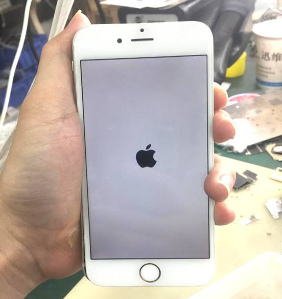 iphone6splus手機白蘋果重啟怎麼辦