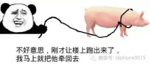 Pw5u8Y4thbUTzyY8.jpg