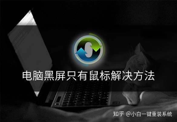 Ժֻô죿
