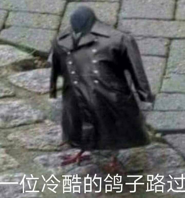 Ƶ༭/ӰЧ/ʼǱƼ