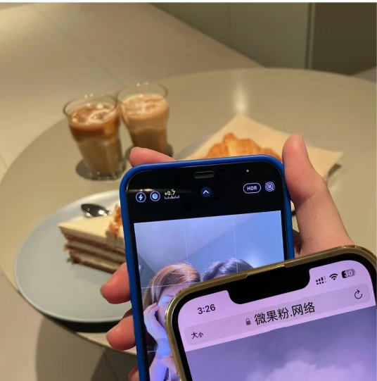΢˺ƵiPhoneֻ΢ŷ氲װ...