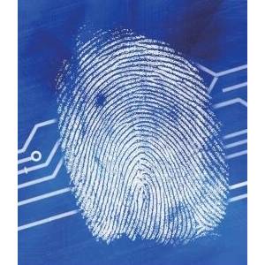 ֹTouch ID ֻϵָʶ