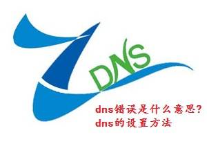 dnsʲô˼?dns÷