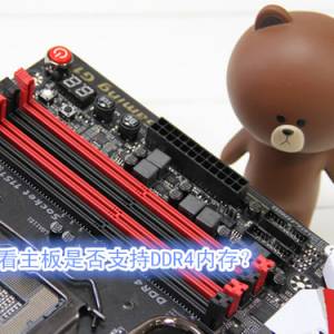 οǷ֧DDR4ڴ棿