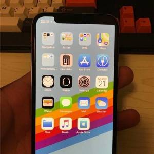 iPhone Xƫ֣è䡱һֻ