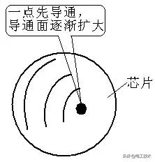 Ū11ƵԭκƷƵά޶