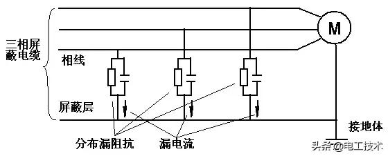 Ū11ƵԭκƷƵά޶