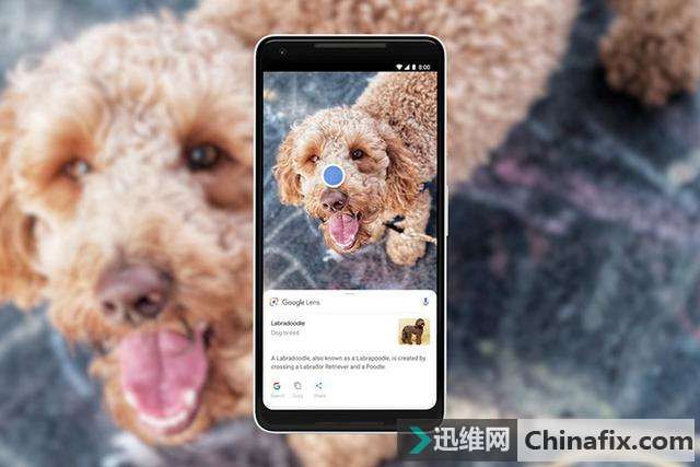 ֧ Google Lens ĲҪˣ AI ȡƺе