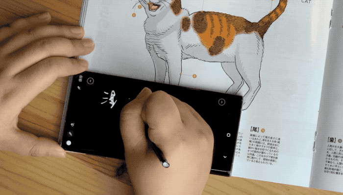 4Galaxy Note10ҳױĻ