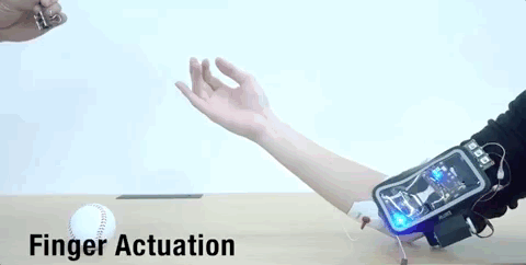 ־Լ