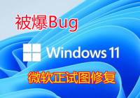 win11ʽһ˵Bug΢ͼ޸