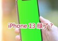 iPhone 13ƵBugֱĻֻ̣