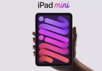 iPad mini 6򡰹ĻѣΪΣ