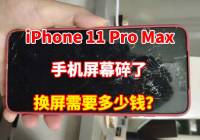 iPhone 11 Pro MaxֻĻˣûոȥޣ