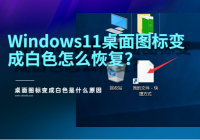 Windows11ͼɰɫôָͼɰɫʲôԭ