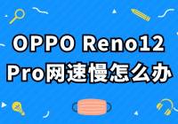 OPPO Reno12 Proô죿ɽ