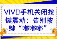 VIVOֻرհ𶯣𰴼ཡ