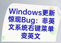 Windows¾BugӢϵͳҼ˵Ӣģ΢δӦ