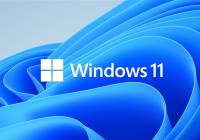 Windows 11·Ϸܽ50%